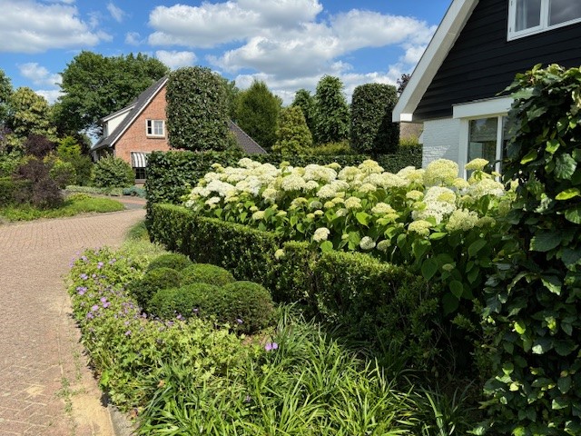 onderhoud 4